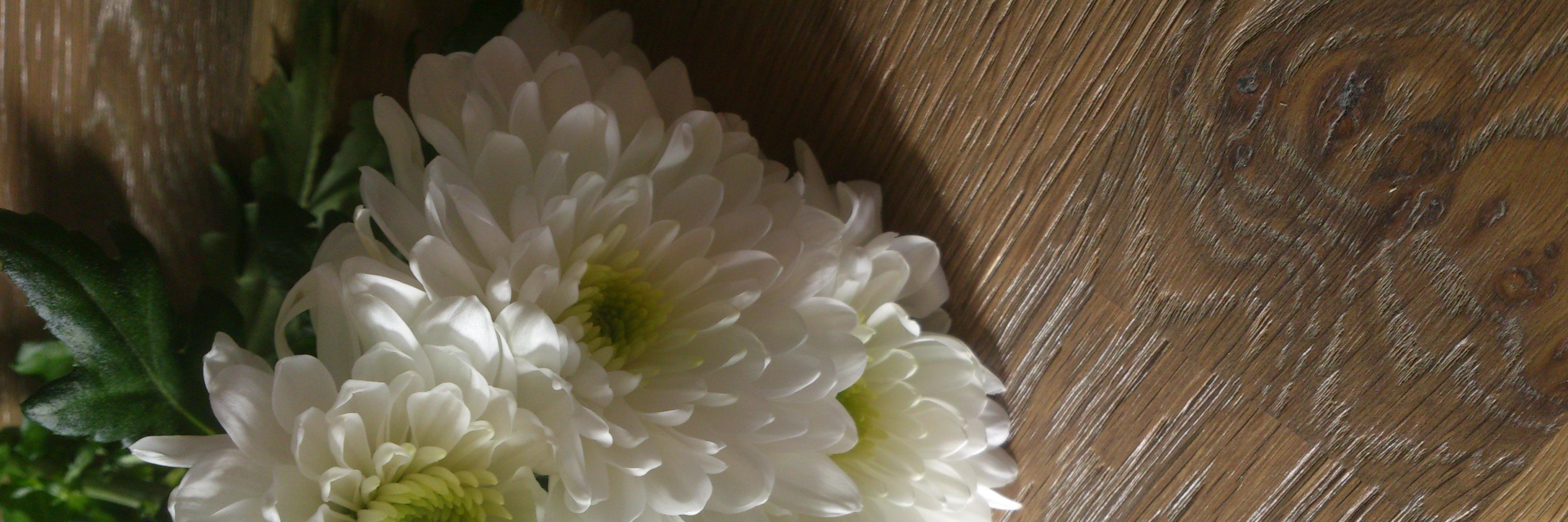 golvshop's profile banner image