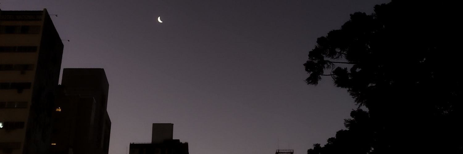 paloma banner
