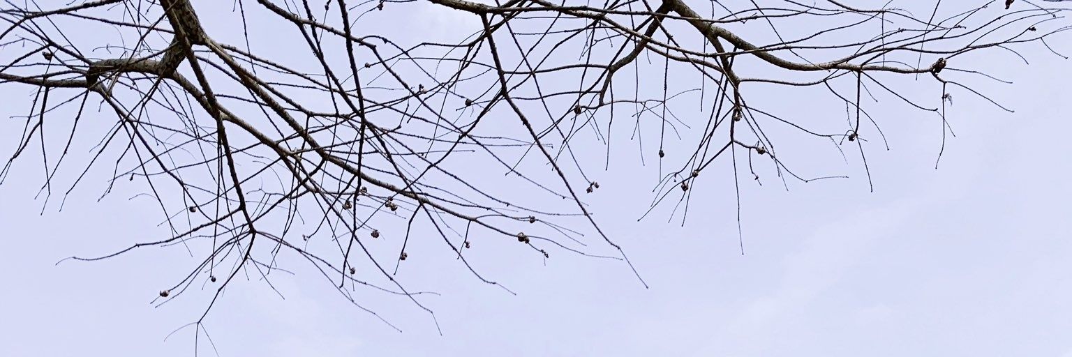 rillsky's profile banner image