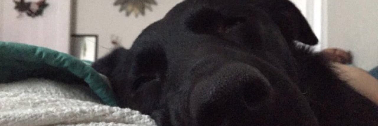 hjackson1600's profile banner image
