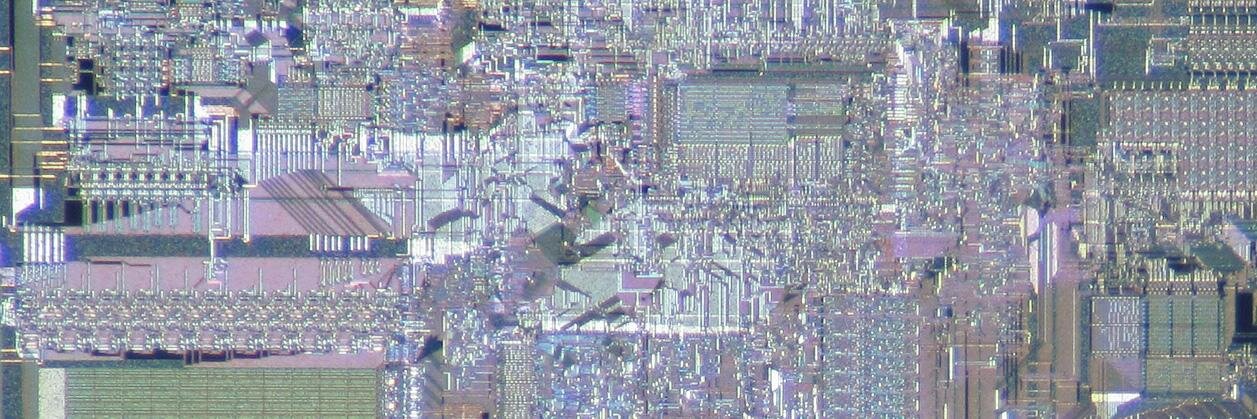 Nick Shchetko banner