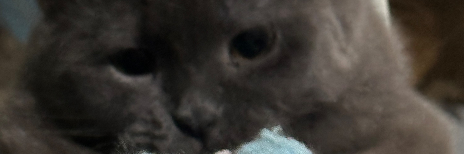 lightmeahundred's profile banner image