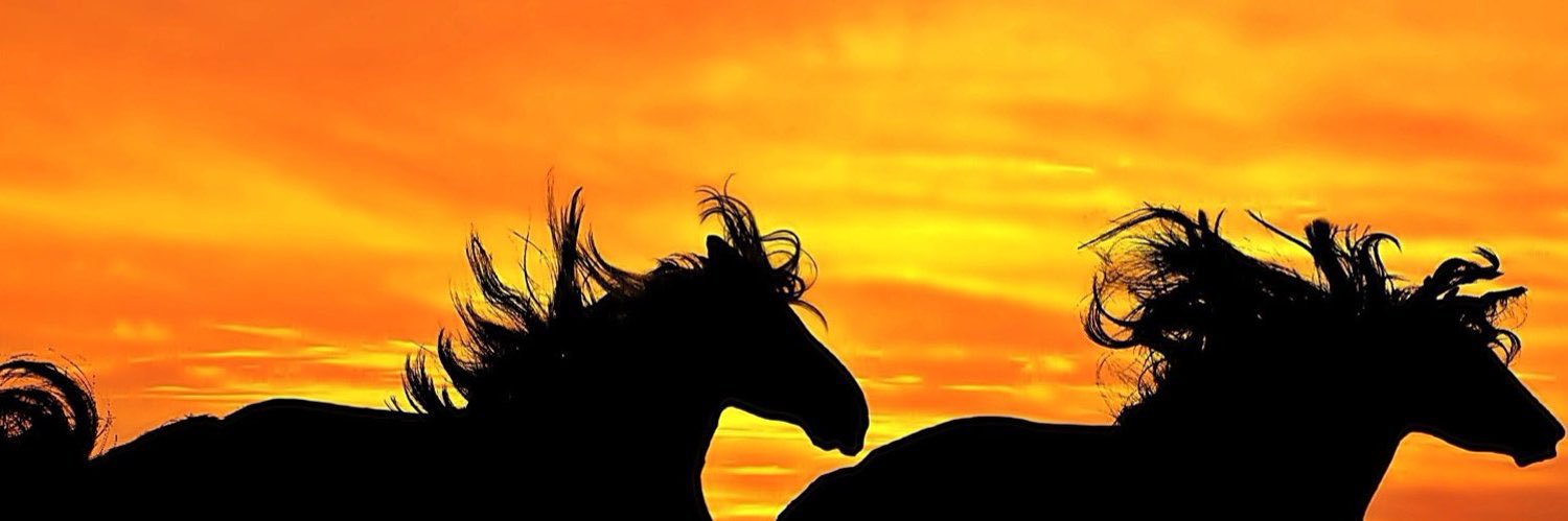 aalnoufaa's profile banner image