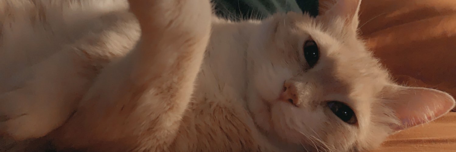 aubreyyybabe's profile banner image