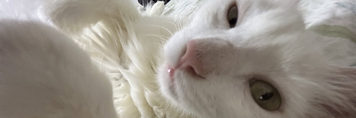 Joyceingridd's profile banner image
