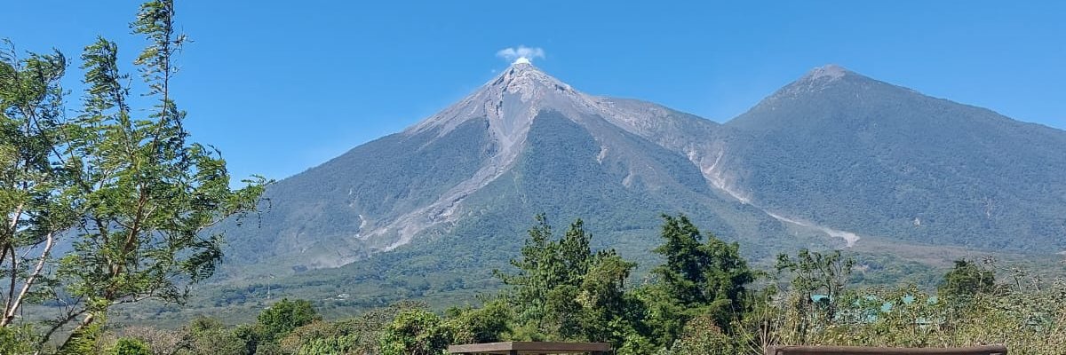 hshetemul's profile banner image