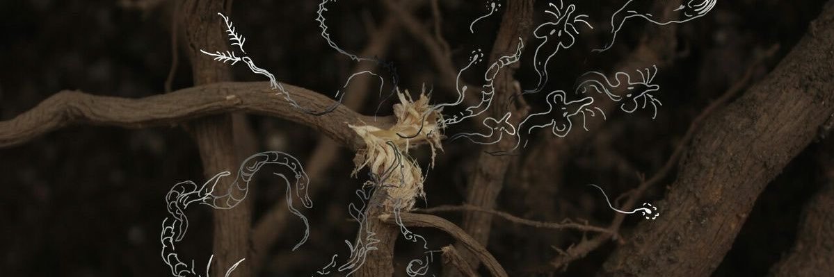 ohsionvrse's profile banner image