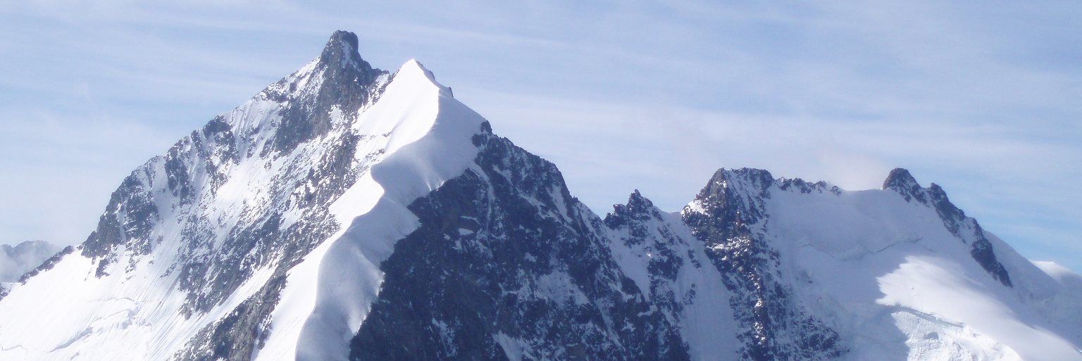 jo_scheidegger's profile banner image