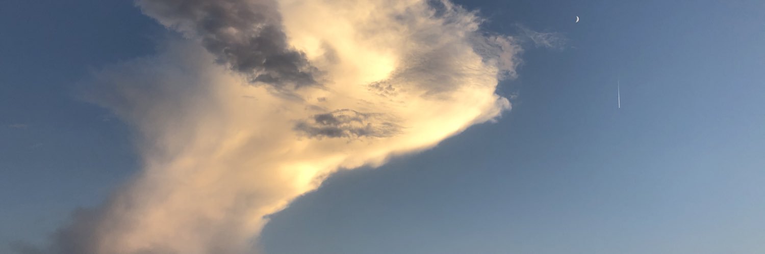 Kaynoreally's profile banner image
