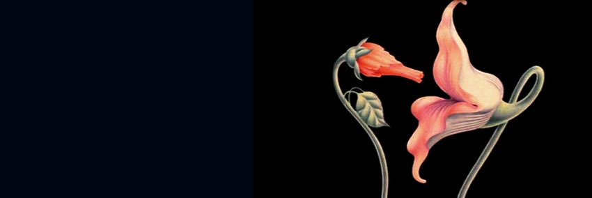 hell0ames's profile banner image