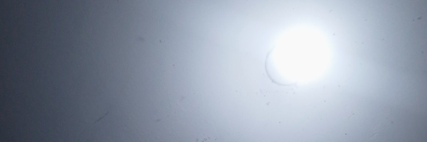 Tofuloni's profile banner image
