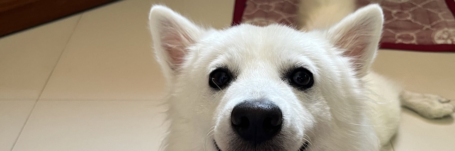 pashedmotato's profile banner image