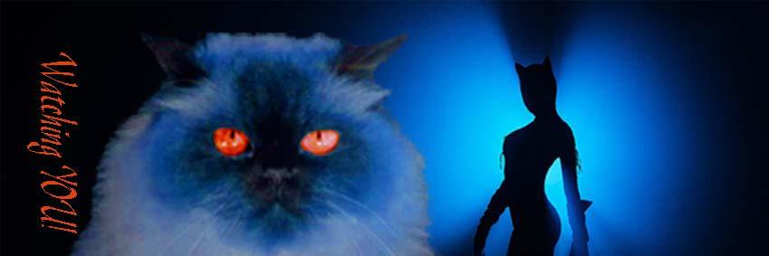 SarahTulloch2's profile banner image