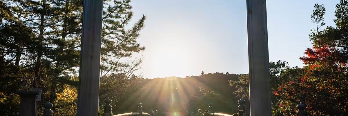 cha_saku02's profile banner image