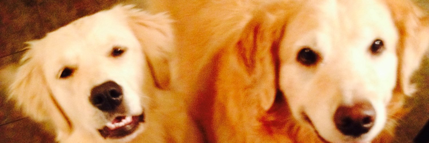 SmithBman's profile banner image