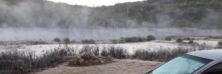 Emily Gwavava banner