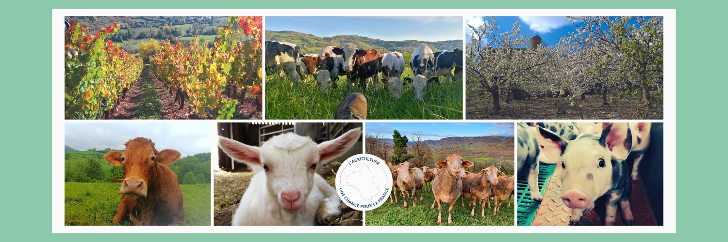 FDSEA Aveyron banner