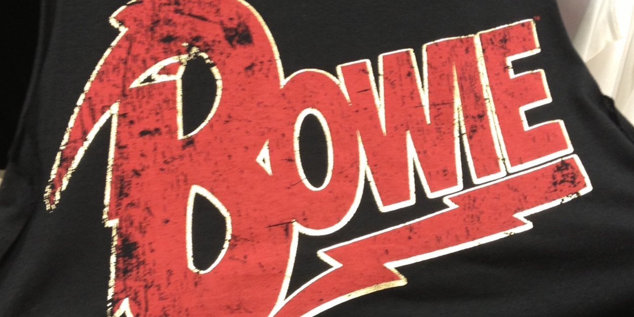 sallybowie's profile banner image