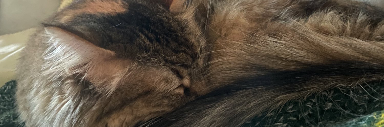 LJ_CM's profile banner image