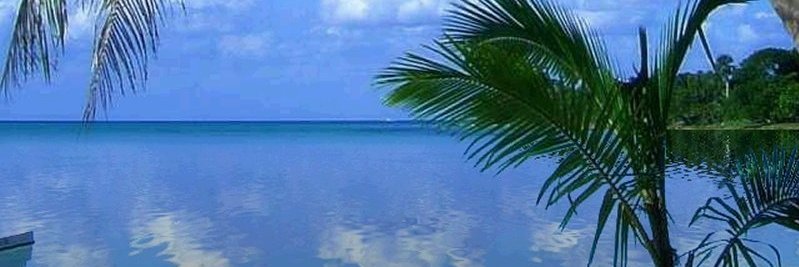 hotmediaplay's profile banner image