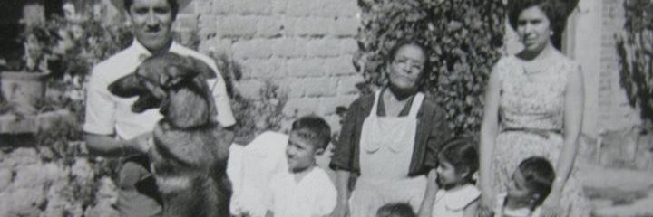 Alejandro Pelaez G banner