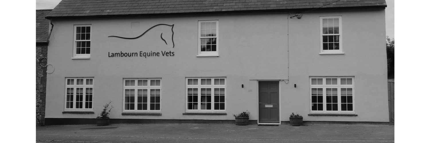 Lambourn Equine Vets Profile Banner
