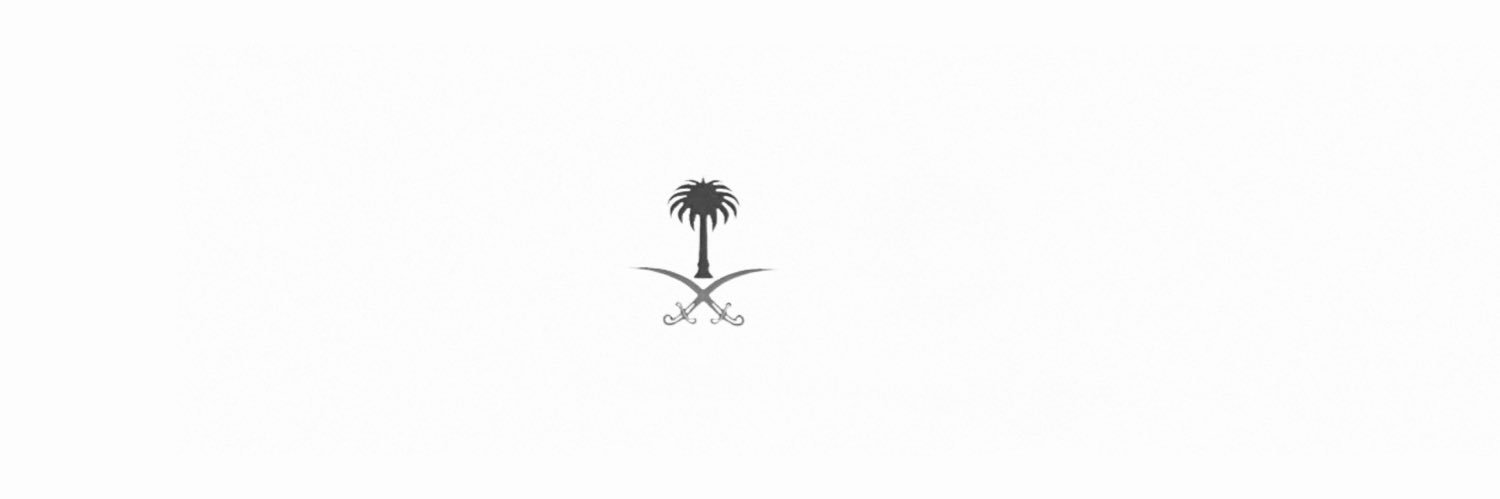 LION5ii's profile banner image
