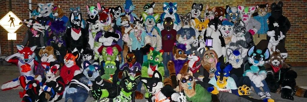 MassFurBowl's profile banner image