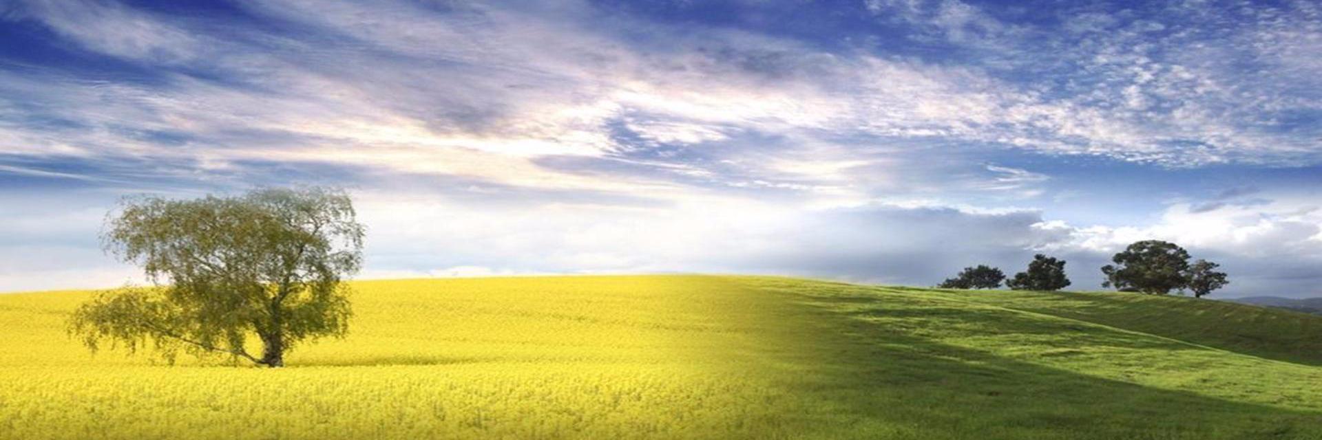ThommyJohnson's profile banner image