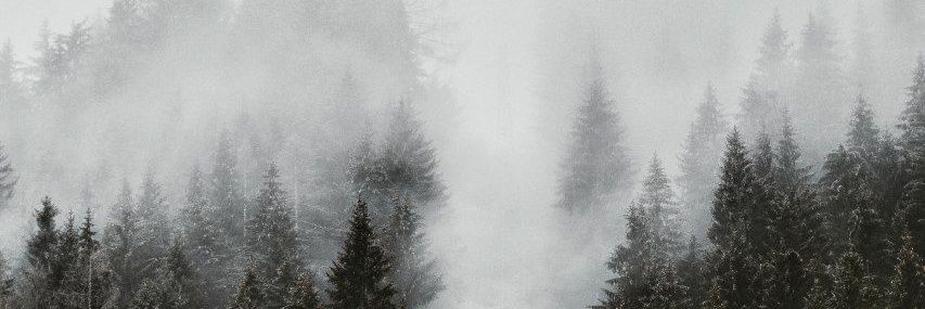 Mahyaar_Ni's profile banner image