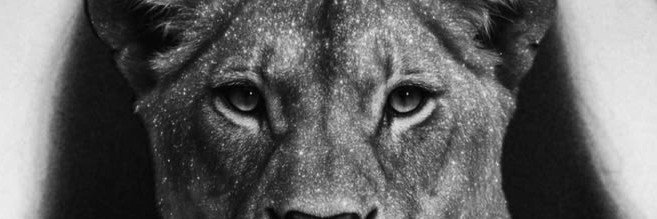 SaRaH1410H's profile banner image