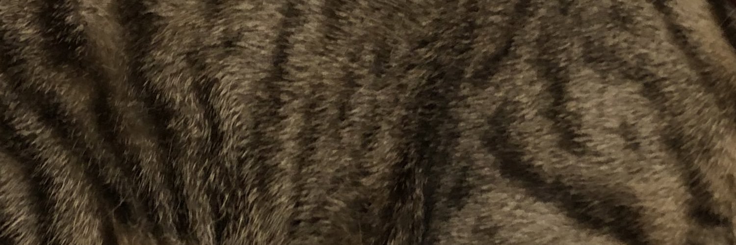 diferarr's profile banner image