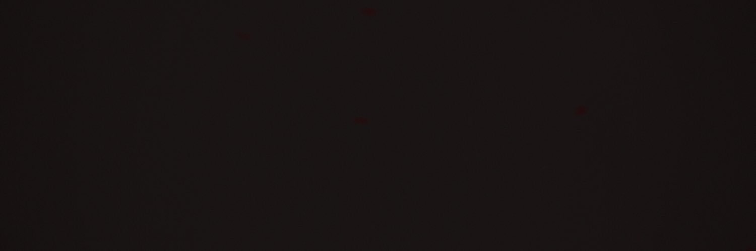 homeymiel's profile banner image