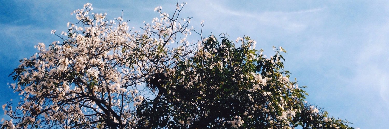 josLine Lim banner