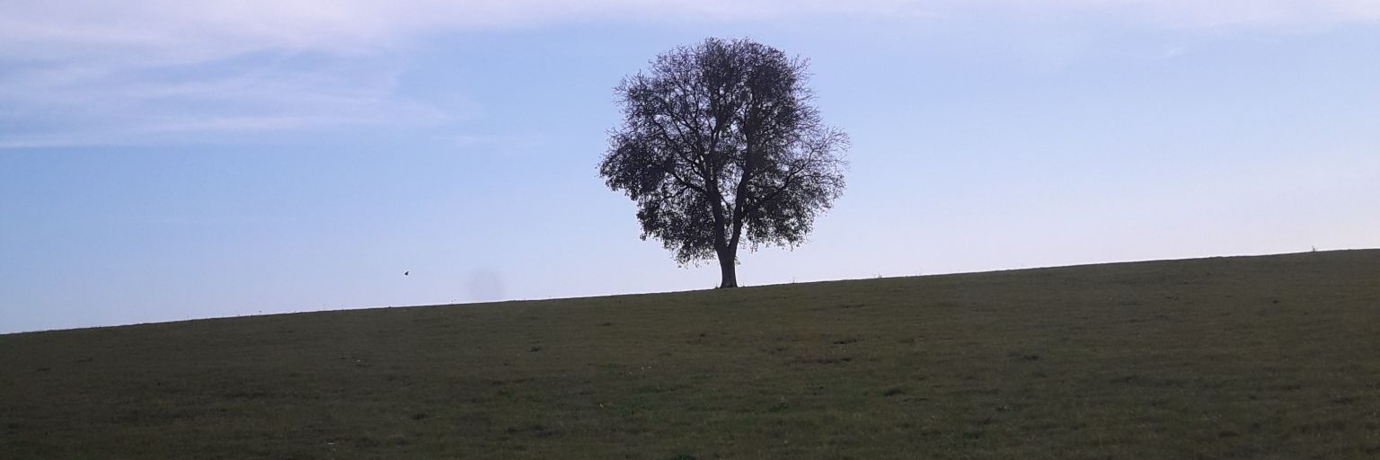 VmhBulle's profile banner image