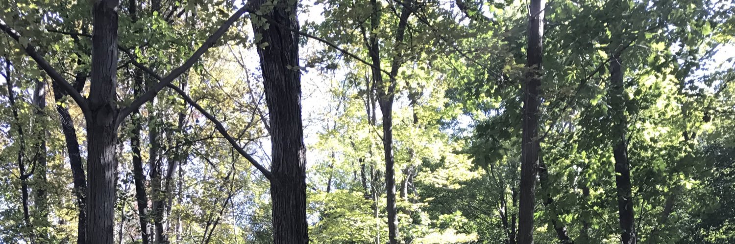 DreaCreative's profile banner image