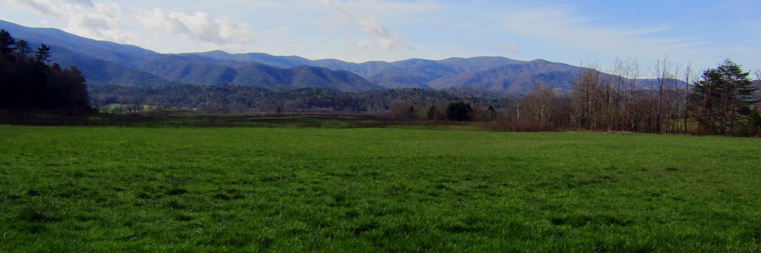 FigTreeTweet's profile banner image