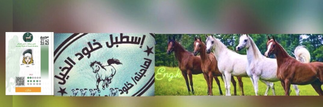 Eng_kholoud_com's profile banner image