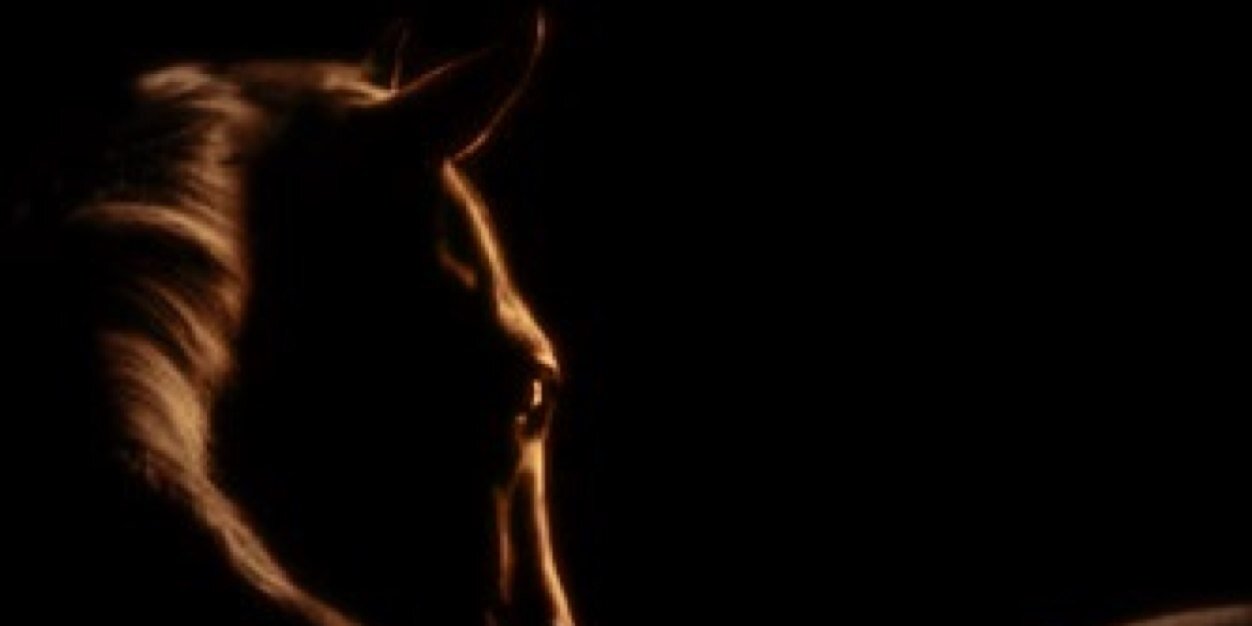 مــعـآآآتب ♞ banner