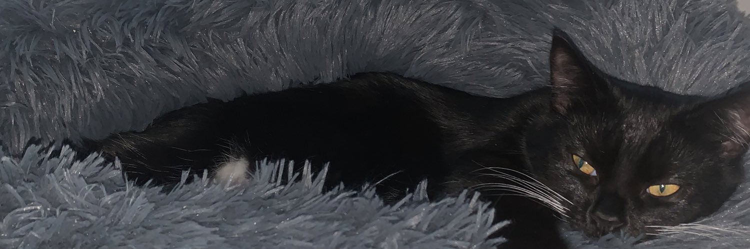 WadeCerys's profile banner image