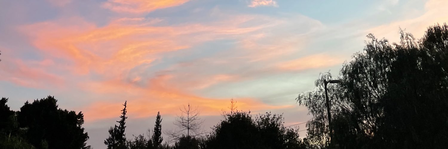 KarlaBadilloR's profile banner image