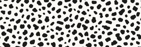 Courtney_Palte's profile banner image