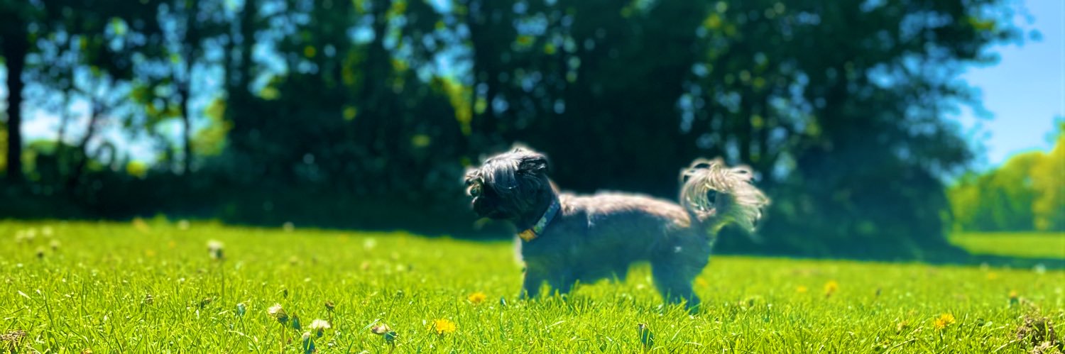 OhBlee's profile banner image