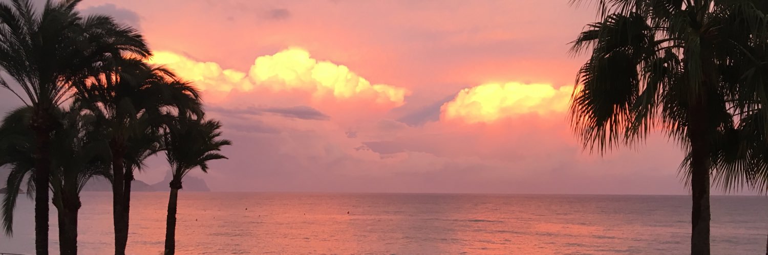 TormentaMalva's profile banner image