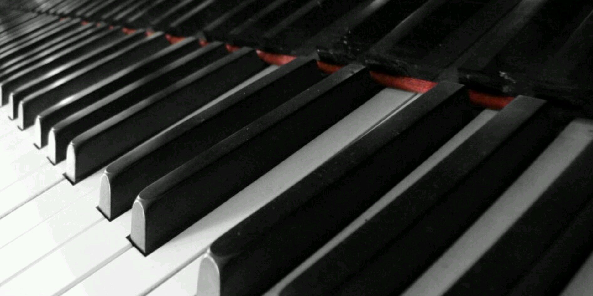DavidTreadway1's profile banner image