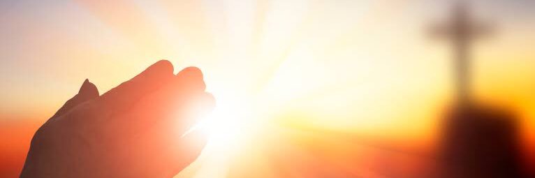 amdqn's profile banner image