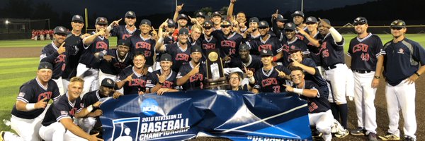 CSUCougarsBSB Profile Banner