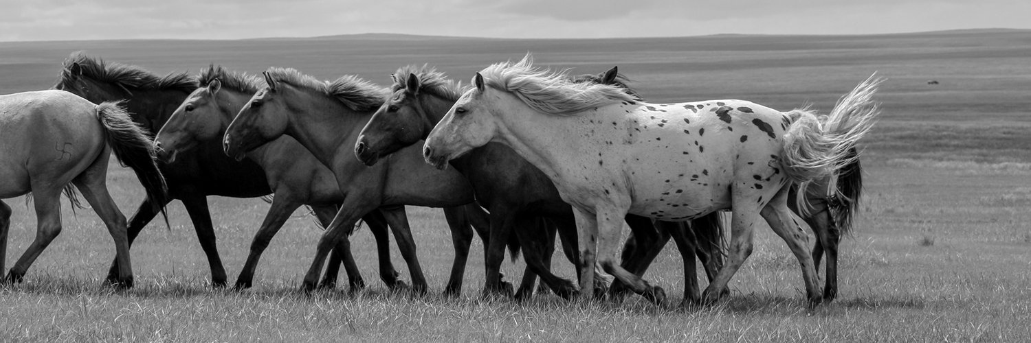 Natalia Égüez banner