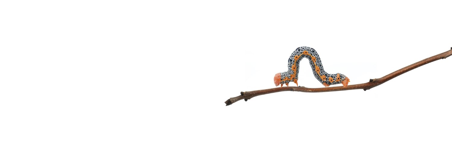 IÖW | @ioew@mastodon.social banner