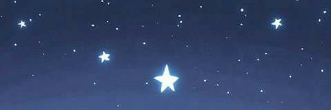 cochillito's profile banner image